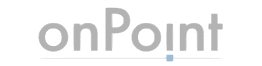 Programista